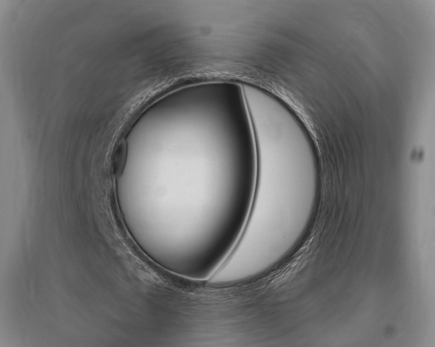 X0000095880673200801110805