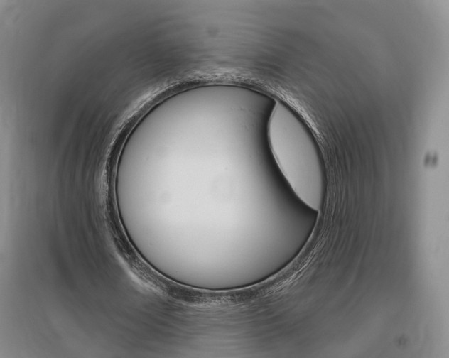X0000095880674200801110805