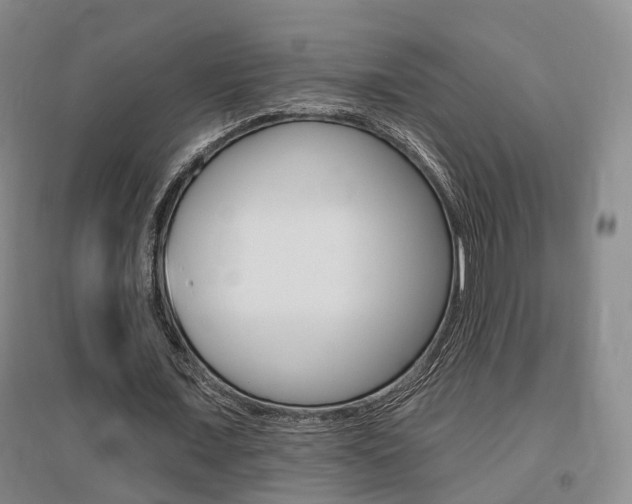 X0000095880675200801110805