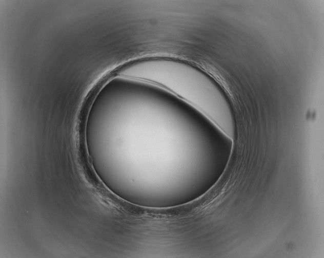 X0000095880676200801110805