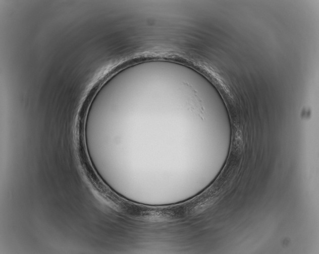 X0000095880678200801110805