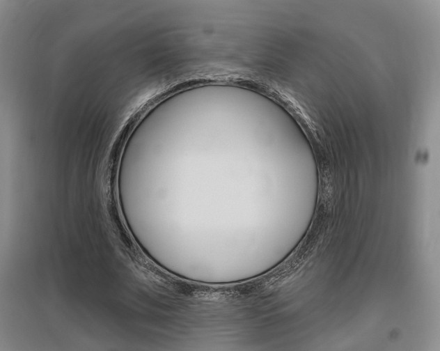 X0000095880679200801110805