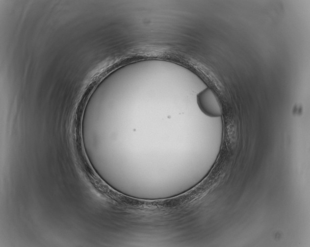 X0000095880682200801110805