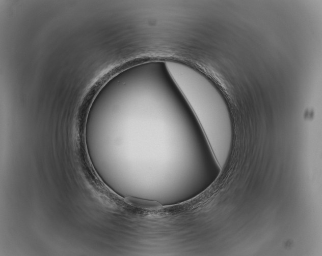 X0000095880684200801110805