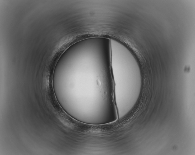 X0000095880685200801110805
