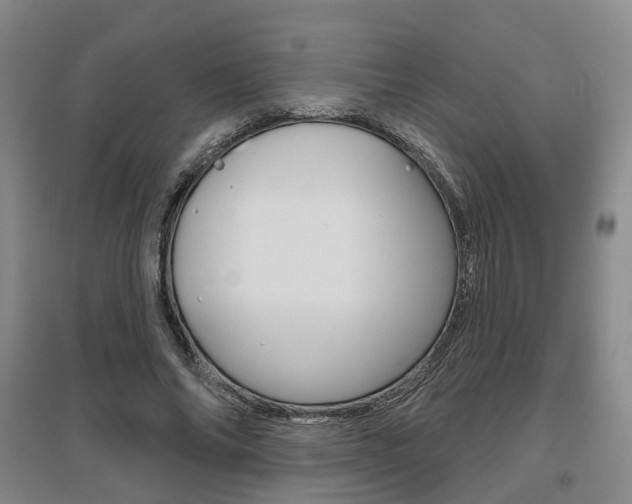 X0000095880686200801110805