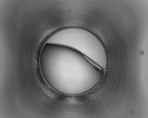 X0000095880688200801110805