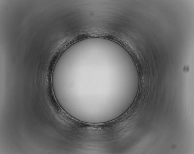 X0000095880690200801110805