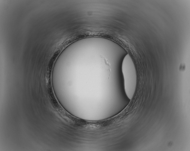 X0000095880691200801110805