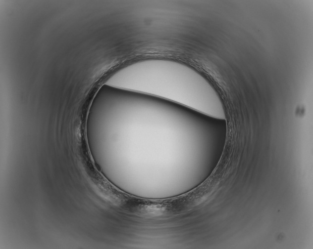X0000095880692200801110805