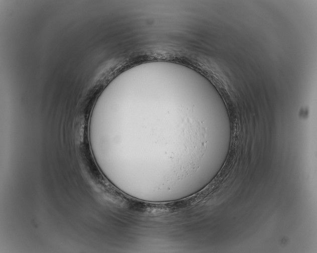 X0000095880694200801110805