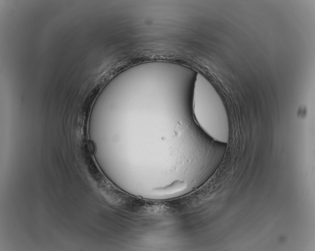 X0000095880695200801110805