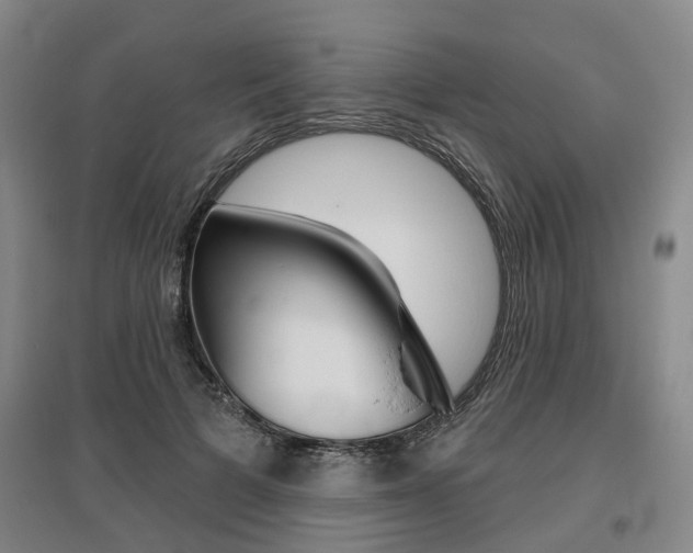 X0000095880697200801110805
