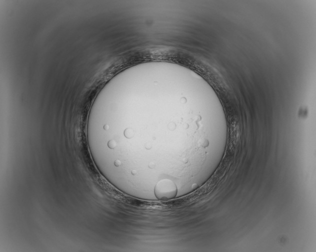 X0000095880698200801110805