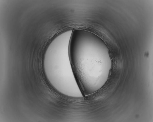 X0000095880700200801110805