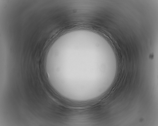 X0000095880701200801110805