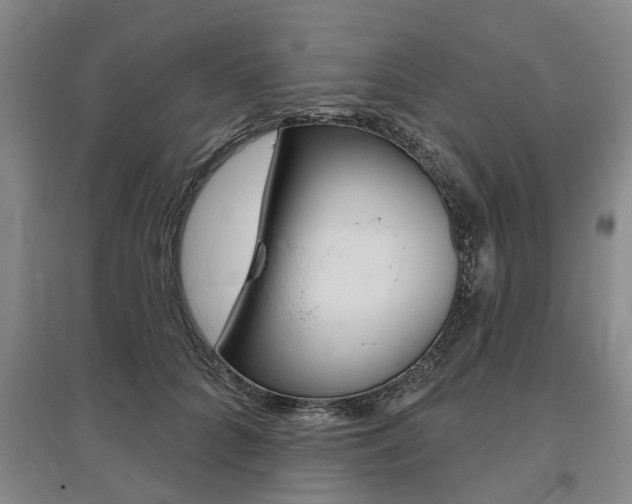 X0000095880704200801110805