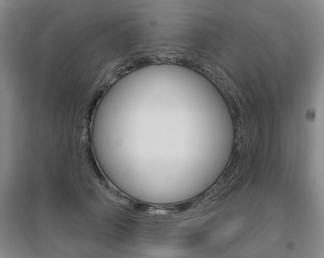 X0000095880706200801110805
