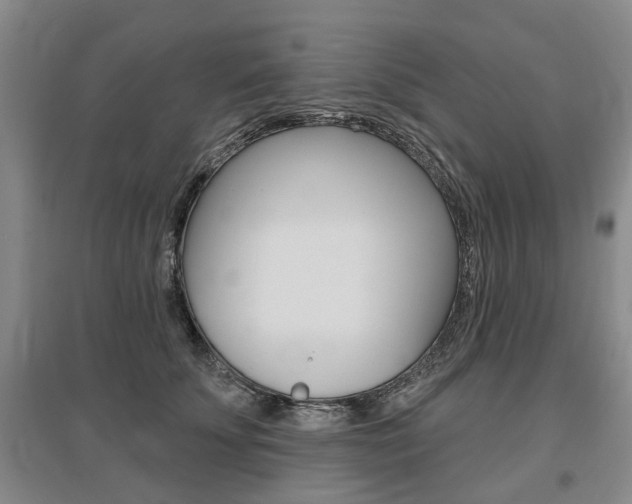 X0000095880707200801110805