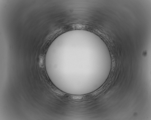 X0000095880709200801110805