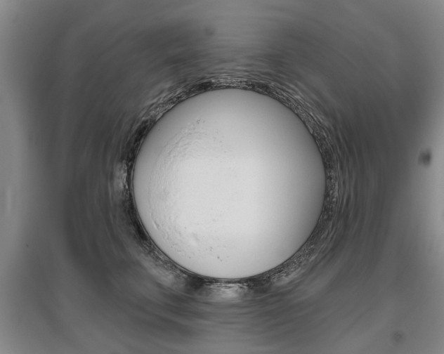 X0000095880711200801110805