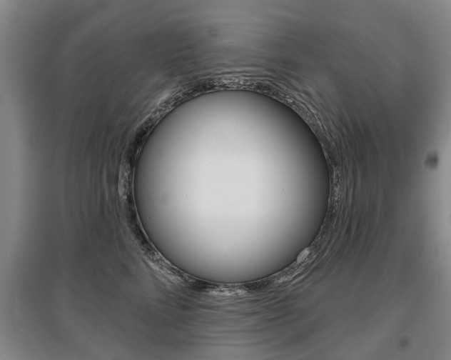 X0000095880712200801110805