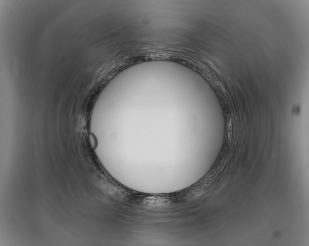X0000095880714200801110805