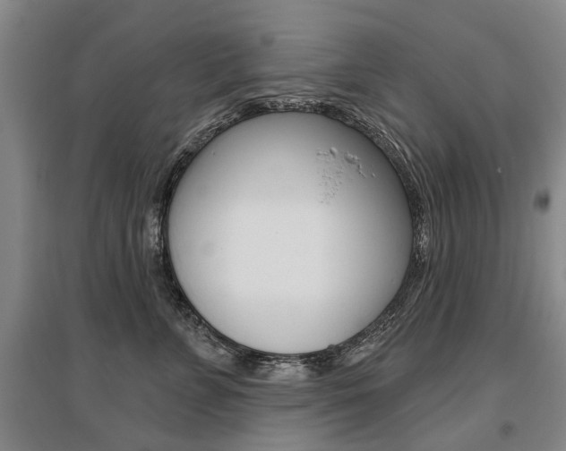 X0000095880715200801110805