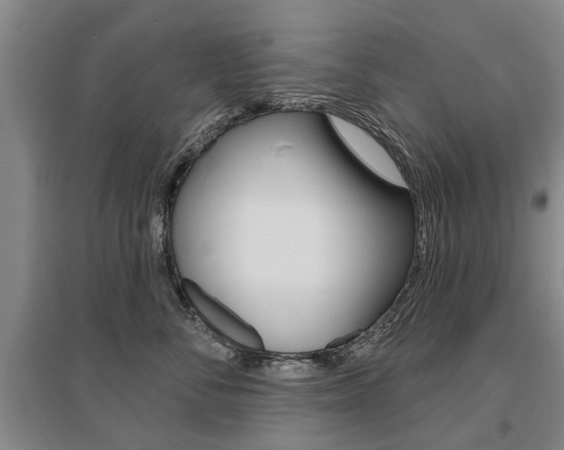 X0000095880716200801110805