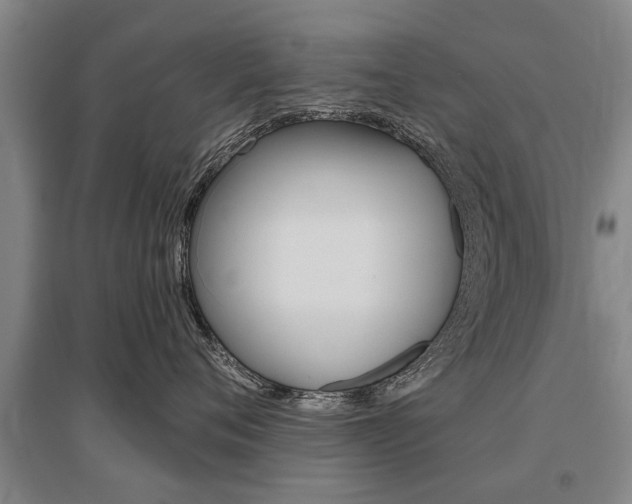 X0000095880720200801110804
