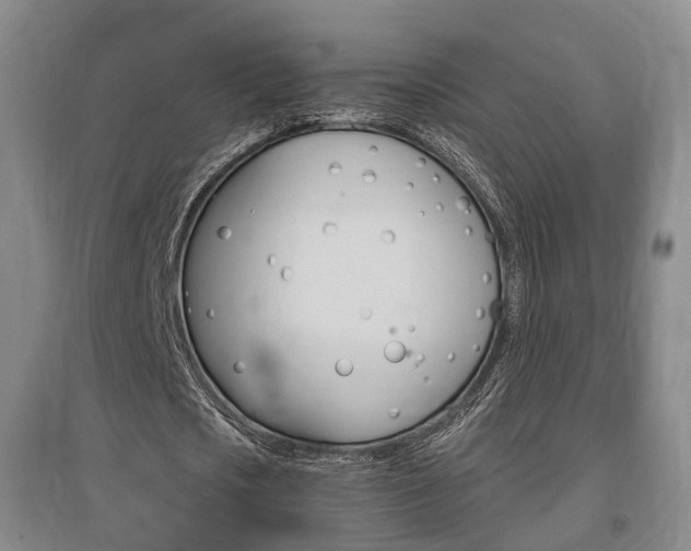 X0000095880721200801110804
