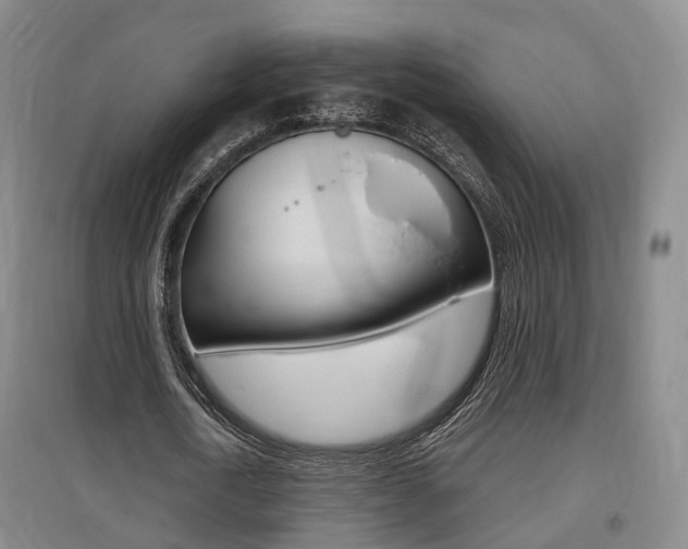 X0000095880722200801110804