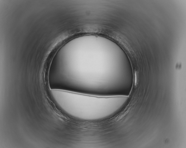X0000095880723200801110804