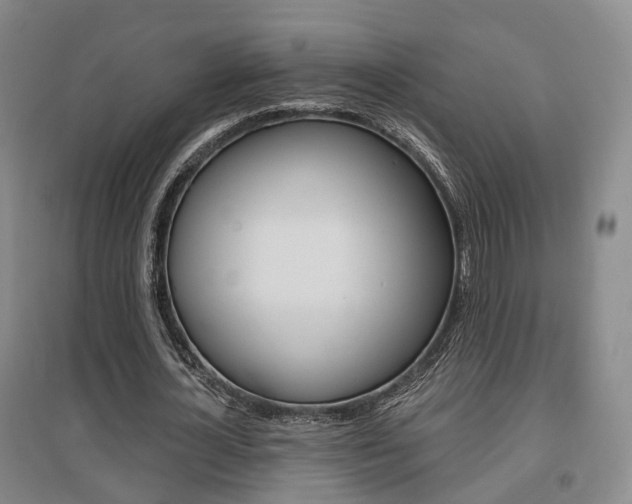 X0000095880724200801110804