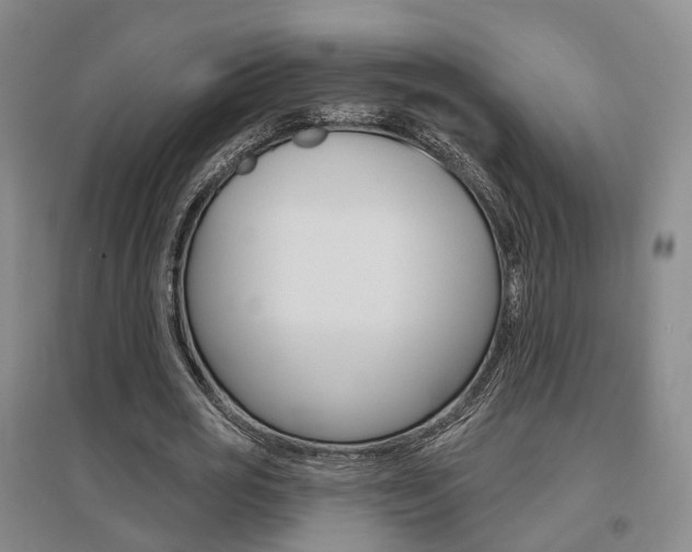 X0000095880725200801110804