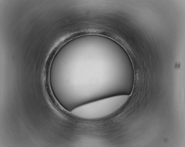 X0000095880726200801110804