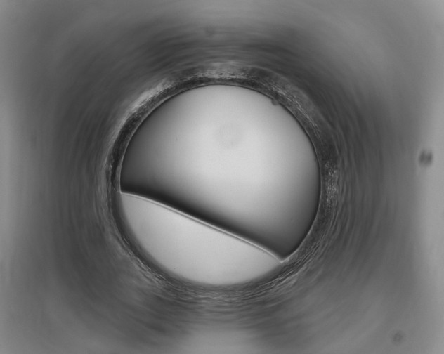 X0000095880727200801110804