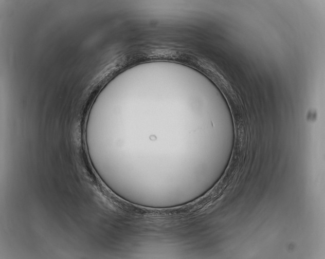X0000095880729200801110804