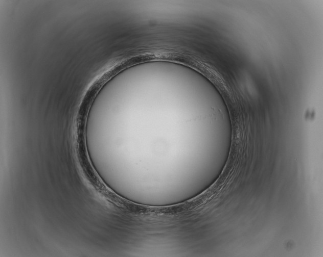 X0000095880730200801110804