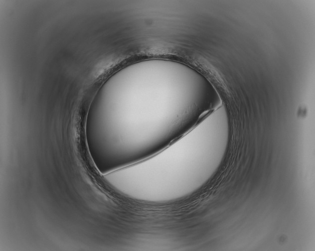 X0000095880732200801110804