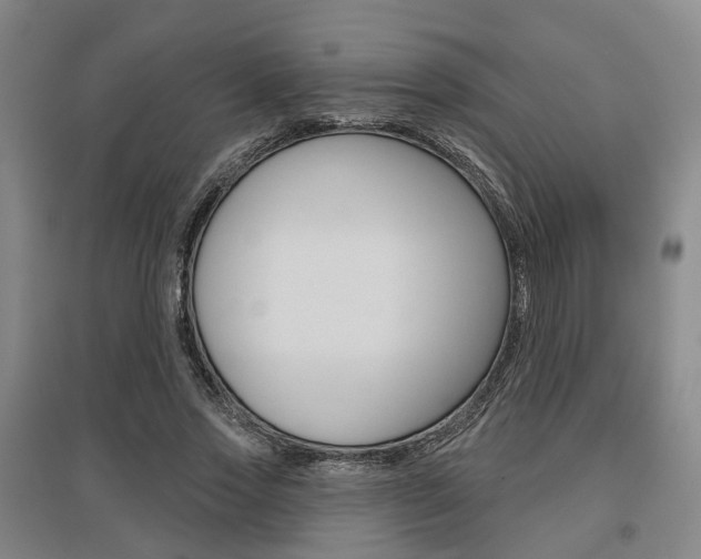 X0000095880733200801110804
