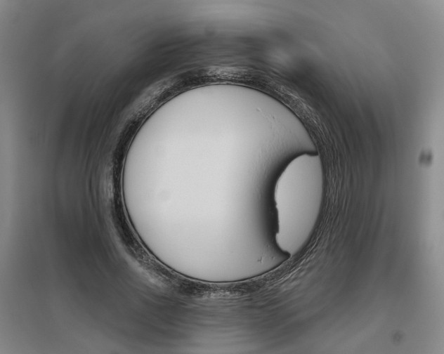 X0000095880734200801110804