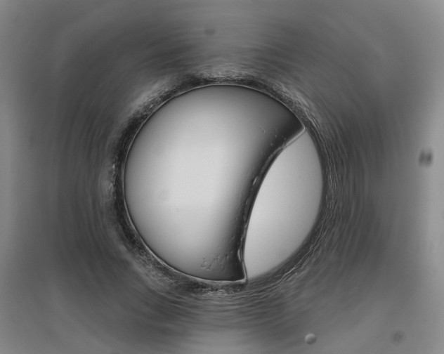 X0000095880735200801110804