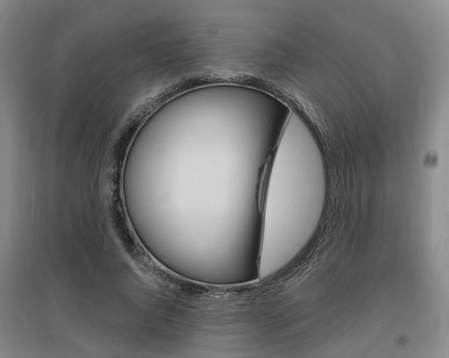 X0000095880736200801110804