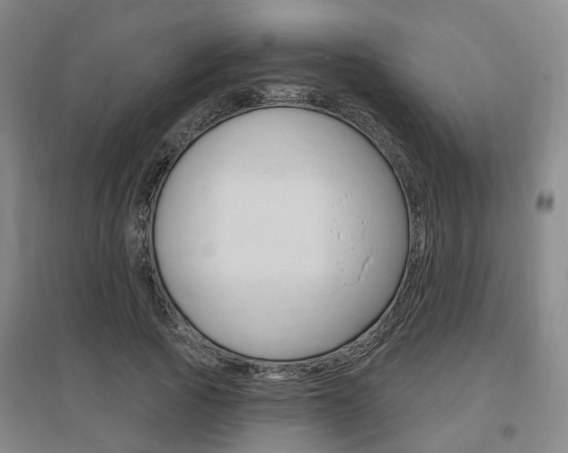X0000095880737200801110804