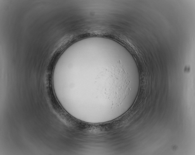 X0000095880738200801110804