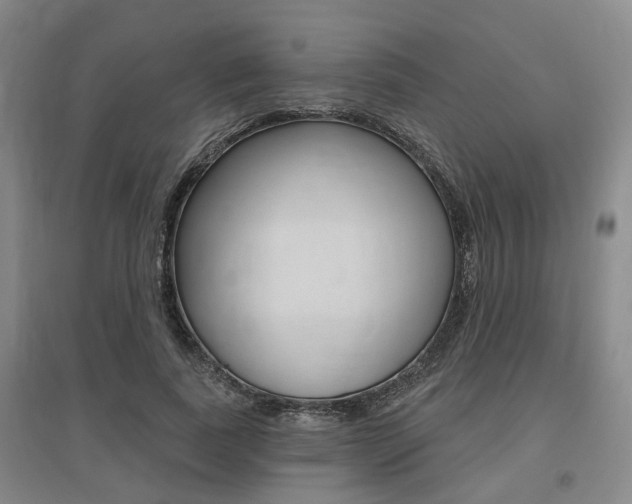 X0000095880739200801110804