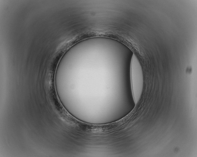 X0000095880740200801110804