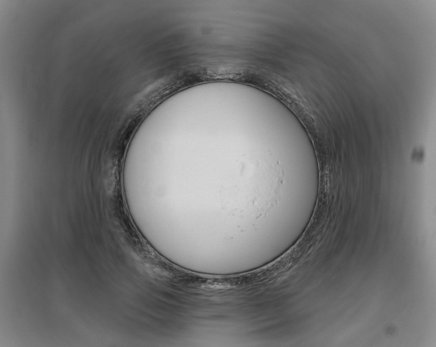 X0000095880741200801110804