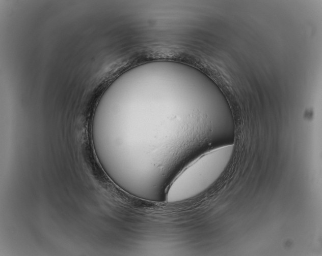 X0000095880743200801110804
